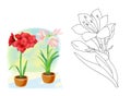 Botanical cartoon illustration for coloring book - amaryllis flower